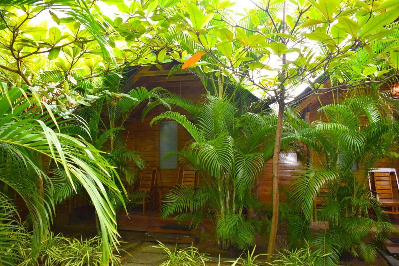 Sasvi Cabana Triquinimale Exterior foto