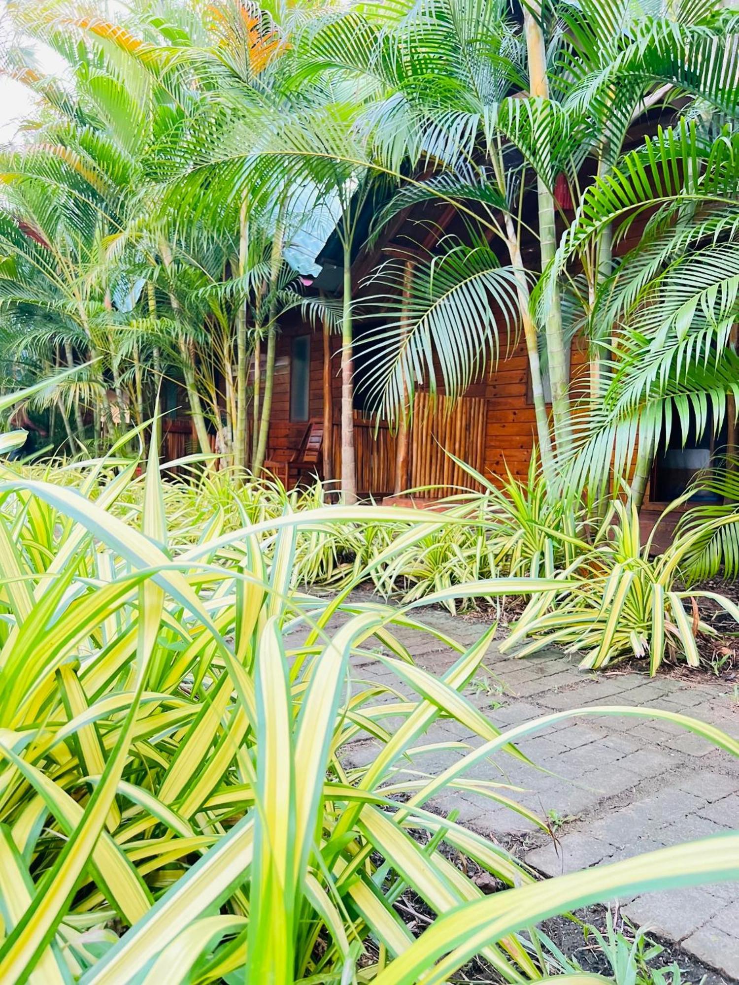 Sasvi Cabana Vila Triquinimale Exterior foto
