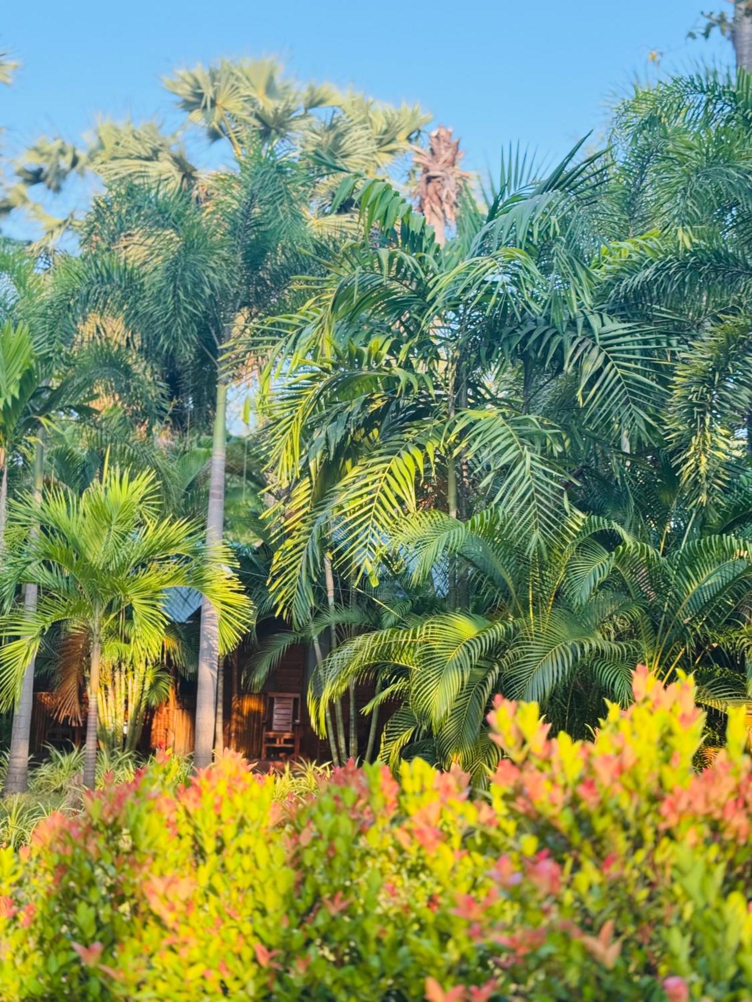 Sasvi Cabana Triquinimale Exterior foto