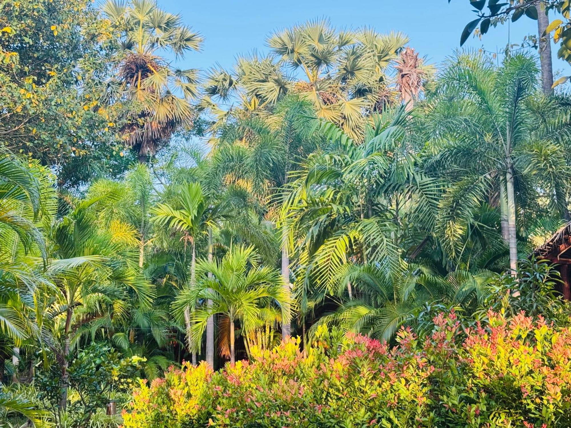 Sasvi Cabana Triquinimale Exterior foto